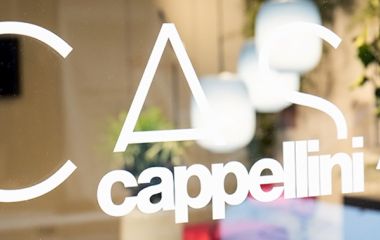 Antrax в инсталяции cappellini