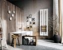 Дизайн радиатор ANTRAX Teso V 2